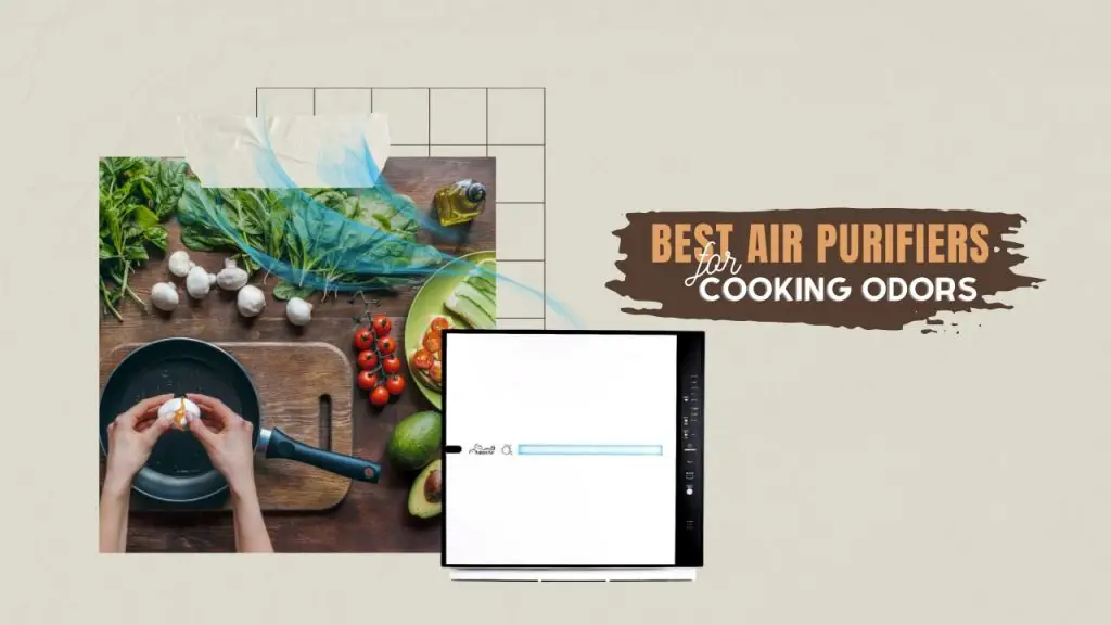 Best air purifiers for cooking odors