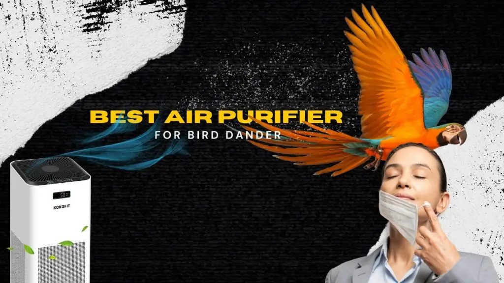 Best air purifier for bird dander