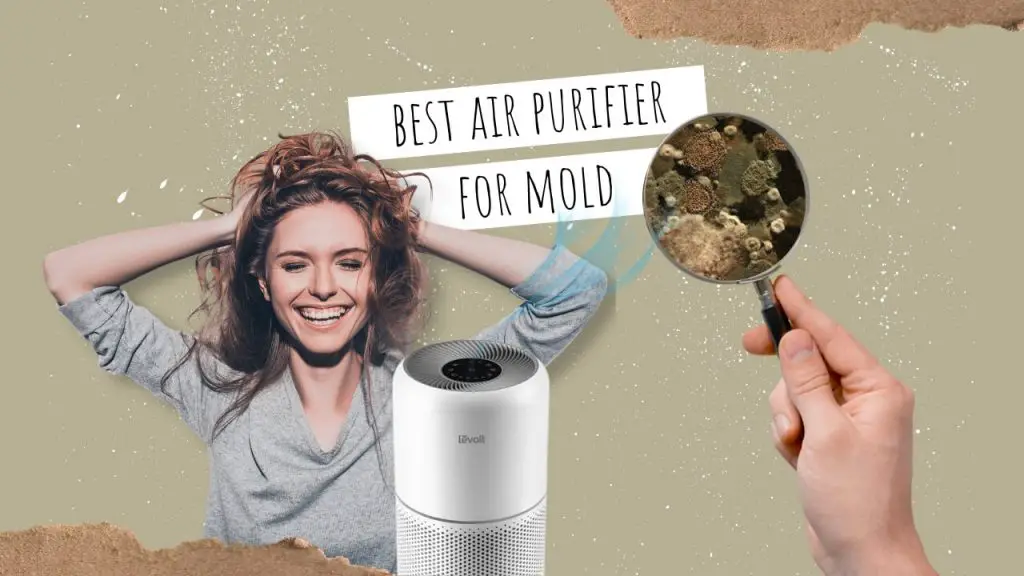 Best air purifier for mold