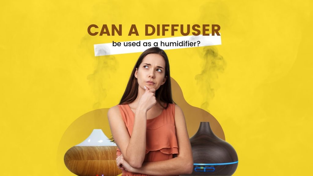 Can A Diffuser be Used as A Humidifier?