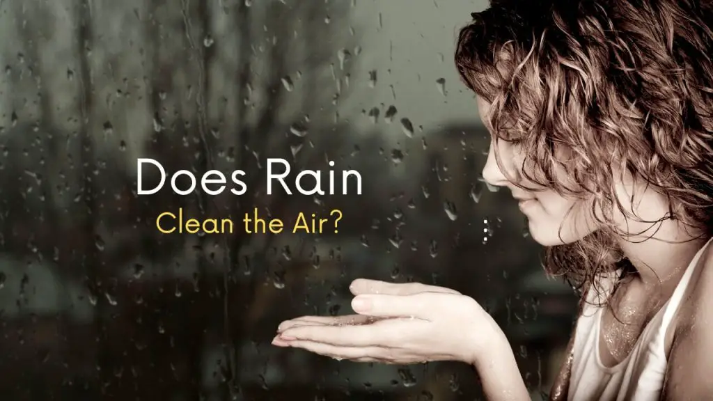 Does Rain Clean the Air