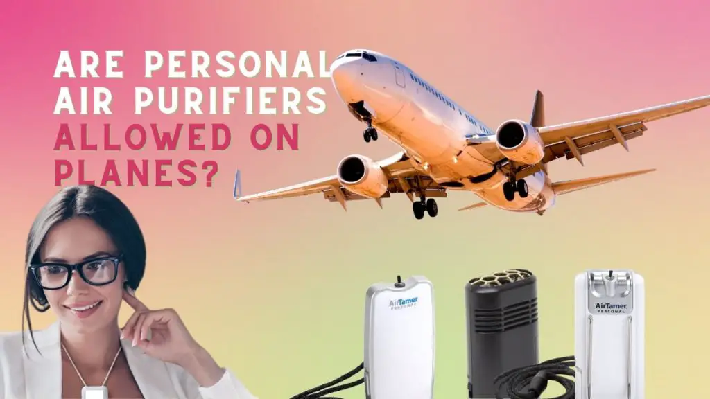 Are Personal Air Purifiers allowed on Planes