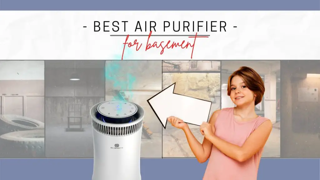 Best air purifier for basement