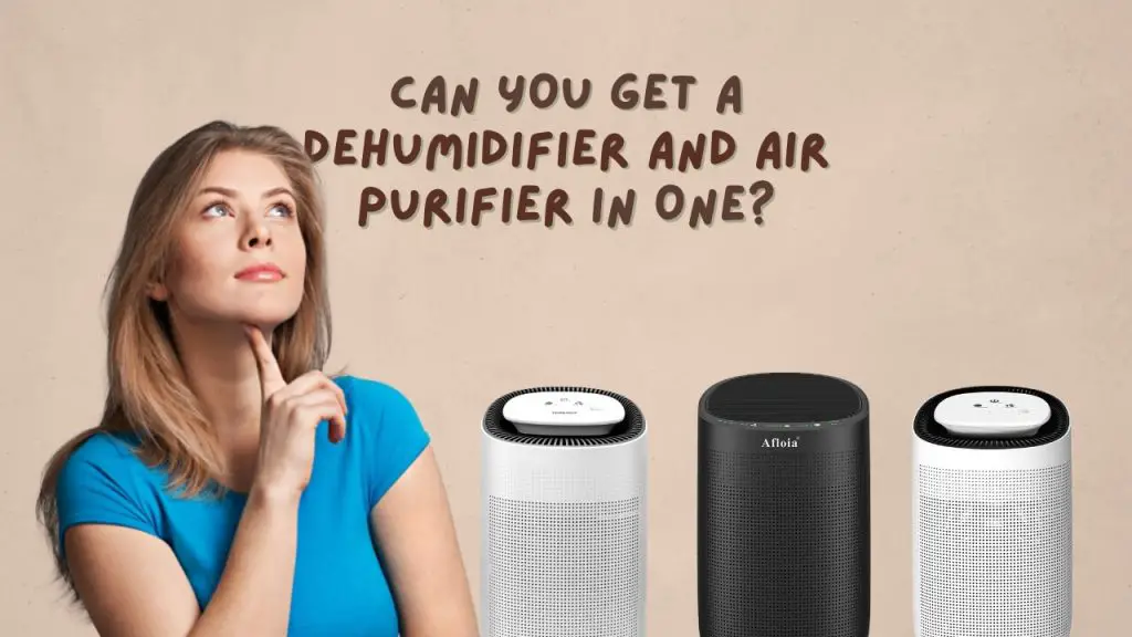 Can you get a dehumidifier and air purifier in one
