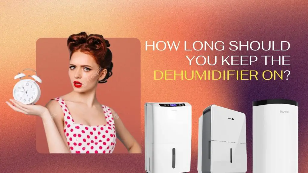 How long should you keep the dehumidifier on