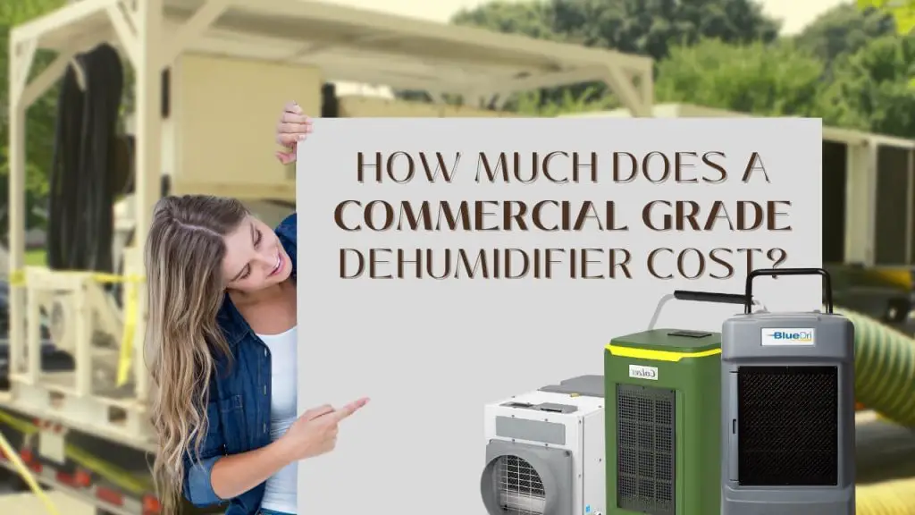 cost of a commercial grade dehumidifier