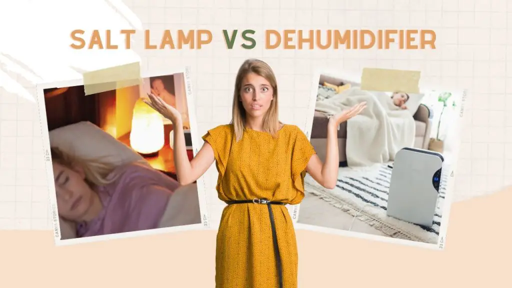 Salt Lamp vs Dehumidifier
