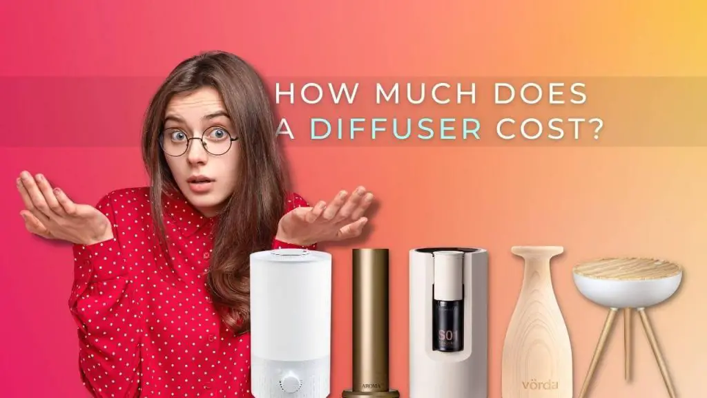 How much does a diffuser cost?