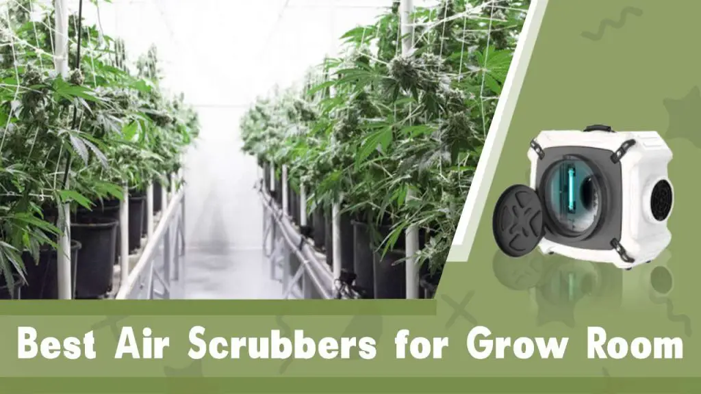 BEST AIR SCRUBBER FOR GROW ROOM