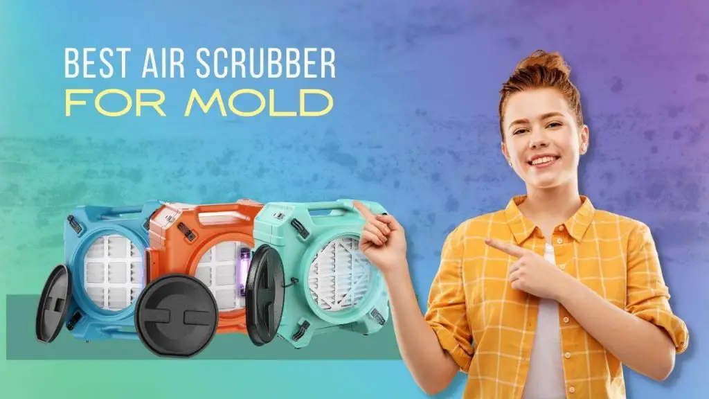 Best Air Scrubber for Mold