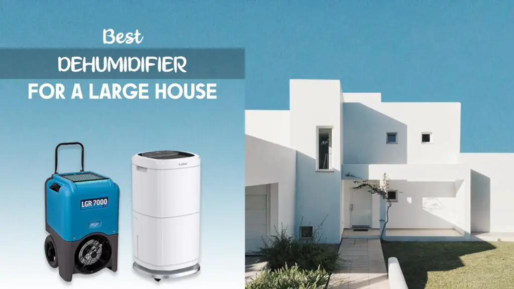 Best Dehumidifier for a Large House
