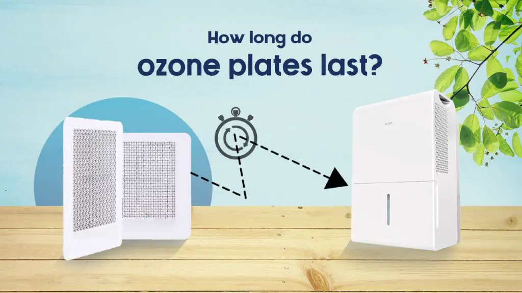 How long do ozone plates last?