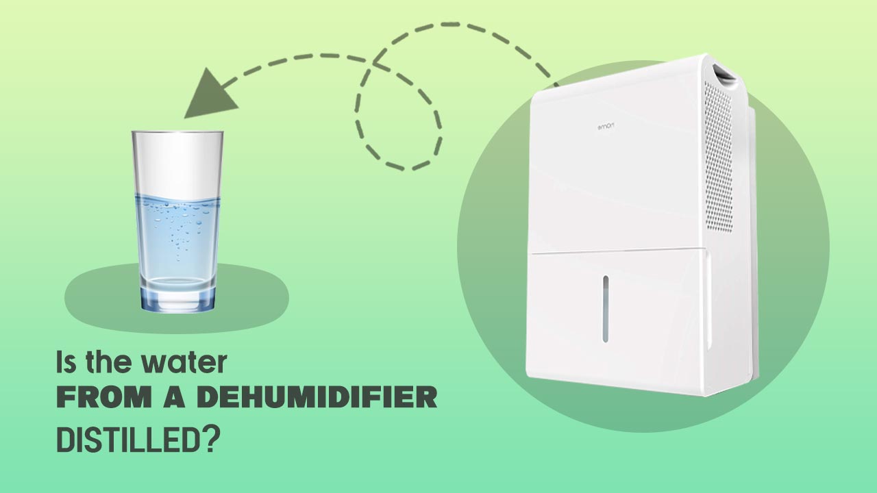 How Good Are Noma Dehumidifiers? Is Noma Dehumidifier Support Good?