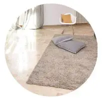4. Carpet causes vinegar smell in house and room