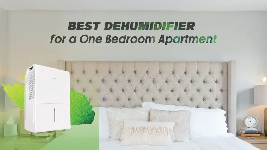 Best Dehumidifier for a One Bedroom Apartment