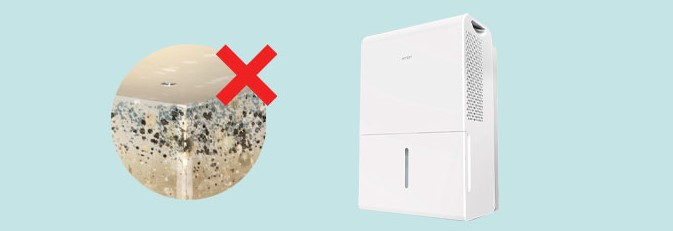 Dehumidifier to Prevent Mold in a one bedroom flat