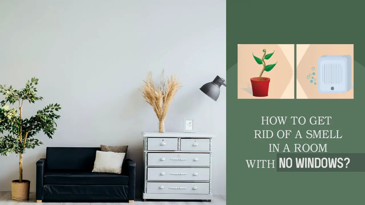 How To Get Rid of Smell in A Room with No Windows? How to Freshen It?