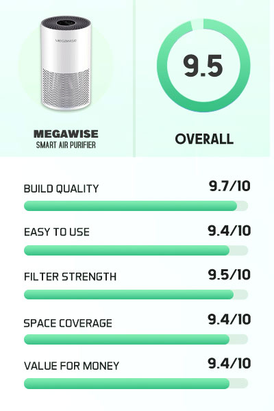 Megawise Smart Air Purifier Rating and Review