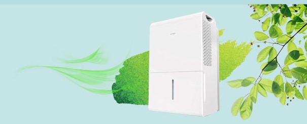 dehumidifier to improve air quality in small flat