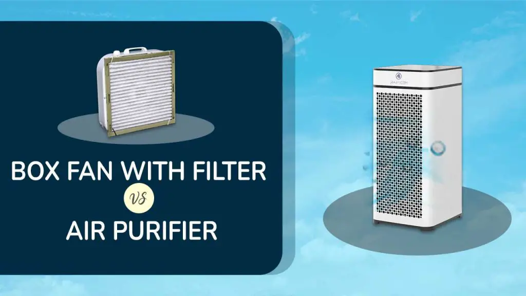 Box fan with filter vs air purifier