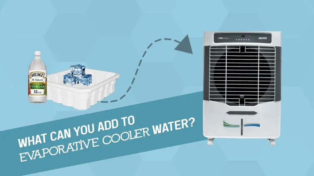 What can you add to evaporative cooler water?