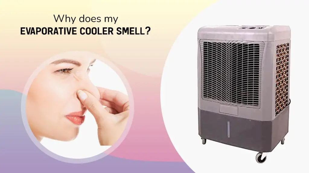 Why Does My Evaporative Cooler Smell? How To Keep Swamp Cooler from Smelling?