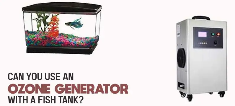 Can You Use an Ozone Generator with A Fish Tank?