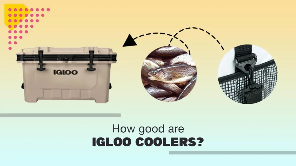 How Good Are Igloo Coolers? Are Igloo Coolers Worth It?