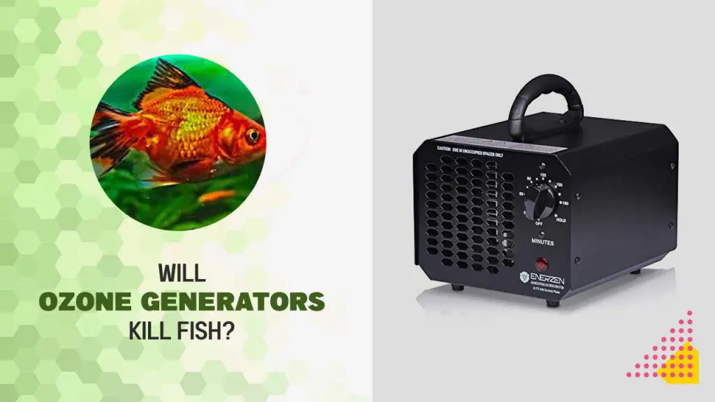 Will Ozone Generators Kill Fish? Is Ozone Safe for Aquarium?