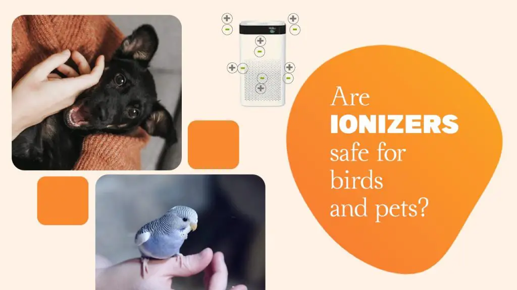 Are ionizers safe for birds and pets?