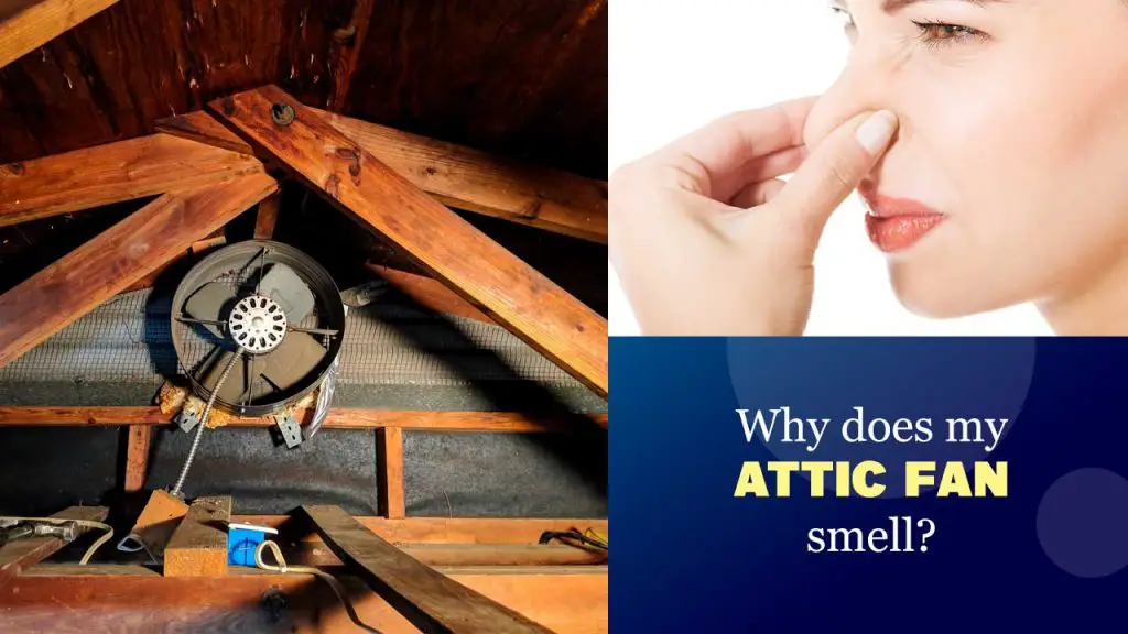Why does my attic fan smell?