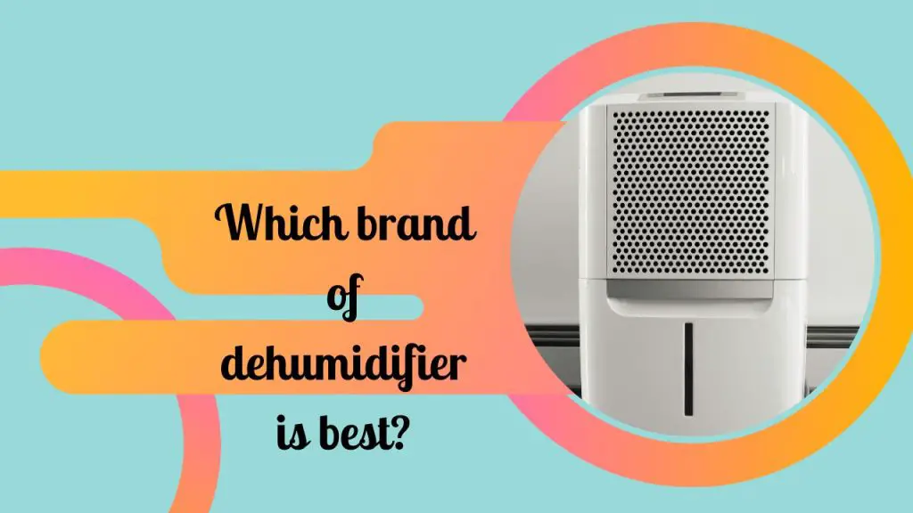 Popular Dehumidifier Brands